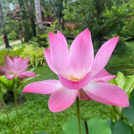 Royal Phawadee Village Patong - 2 Minutes Walk To The Beach Exterior photo