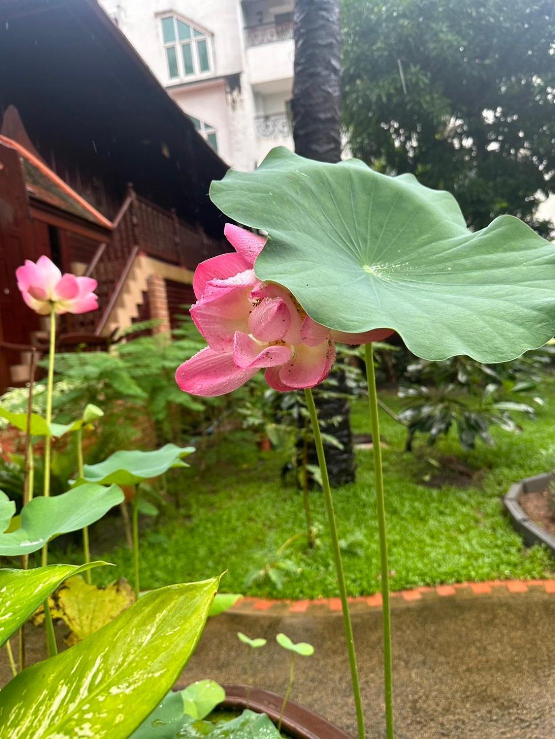 Royal Phawadee Village Patong - 2 Minutes Walk To The Beach Exterior photo