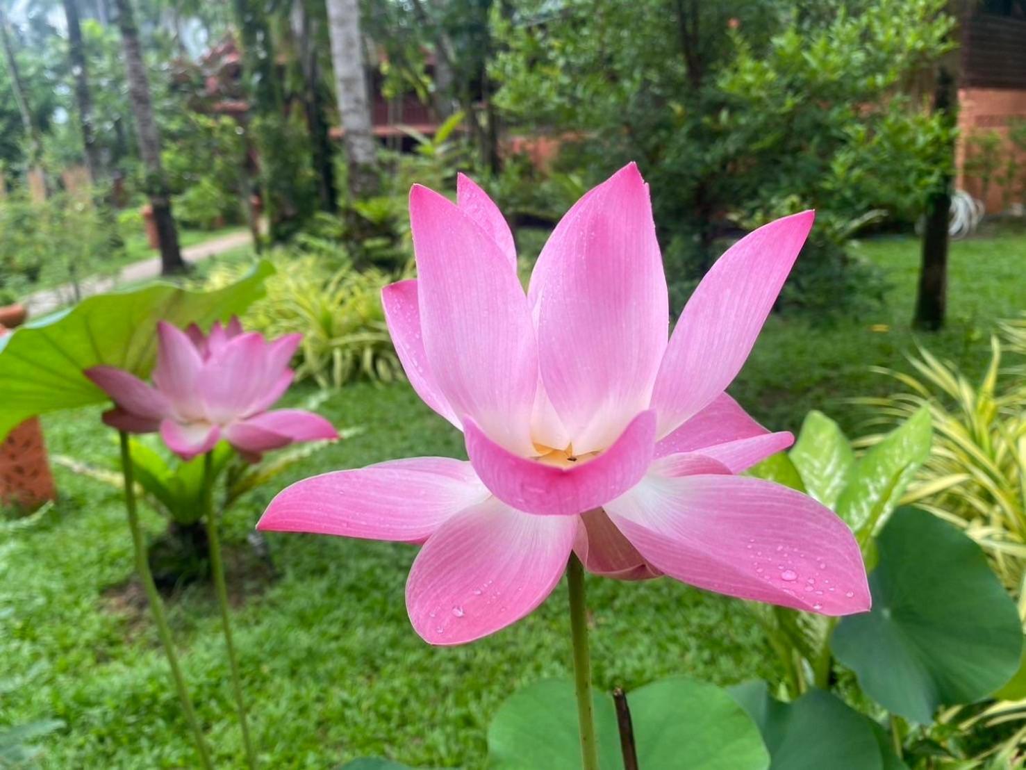 Royal Phawadee Village Patong - 2 Minutes Walk To The Beach Exterior photo