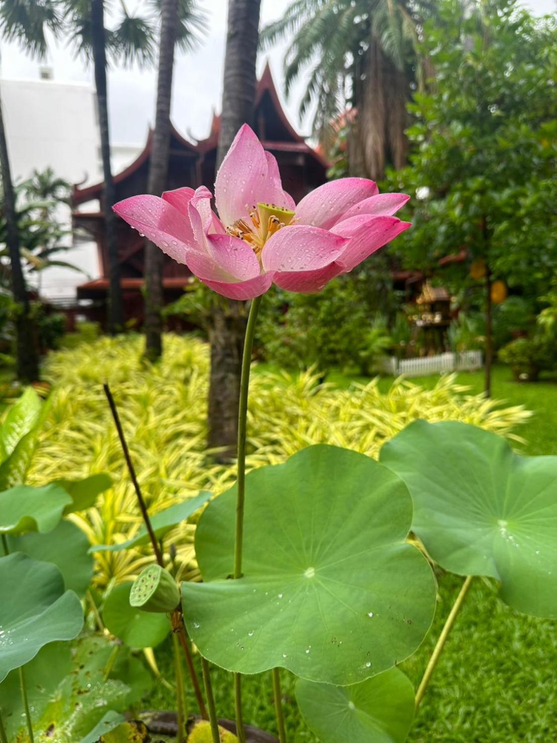 Royal Phawadee Village Patong - 2 Minutes Walk To The Beach Exterior photo