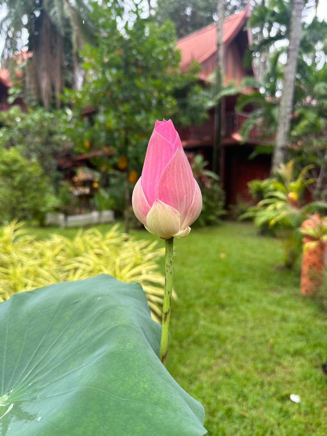 Royal Phawadee Village Patong - 2 Minutes Walk To The Beach Exterior photo